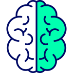 brain_11873739 brain_11873739